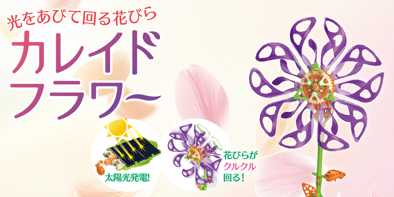 カレイドフラワー（JS-6218）