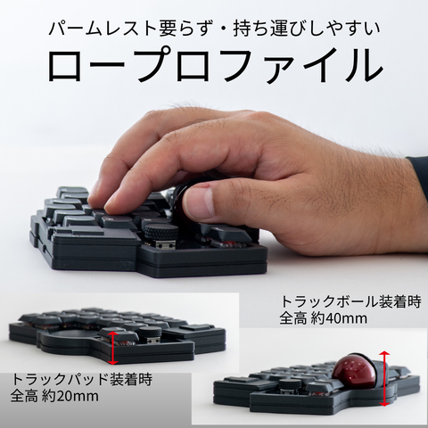 双掌(SO-SHO) [ TH-601 ]