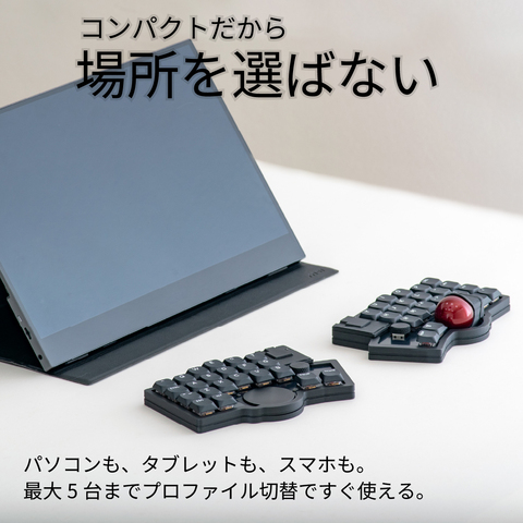 双掌(SO-SHO) [ TH-601 ]